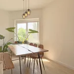 Rent 2 bedroom apartment in Gent