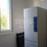 Rent 2 bedroom apartment of 44 m² in Ostrava