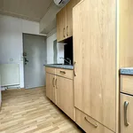 Appartement de 28 m² avec 1 chambre(s) en location à Aspach-le-Bas