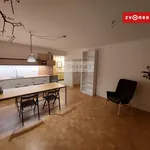 Rent 2 bedroom apartment of 50 m² in Zlín