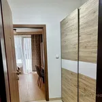 Rent 1 bedroom apartment in Capital City of Prague