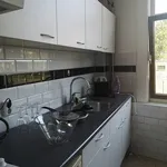 Rent 3 bedroom apartment of 90 m² in Rotterdam