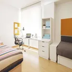 Habitación en pamplona