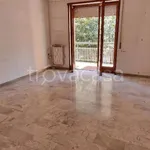 Rent 2 bedroom apartment of 82 m² in Napoli