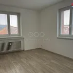 Rent 2 bedroom apartment in Pardubice