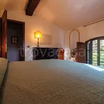 Rent 3 bedroom house of 100 m² in Livorno