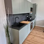 Rent 2 bedroom apartment of 60 m² in Torino