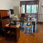 Rent 2 bedroom apartment of 70 m² in Cologno Monzese