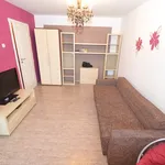 Rent 1 bedroom apartment of 33 m² in Timisoara