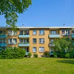 Rent 3 bedroom apartment of 65 m² in Dortmund