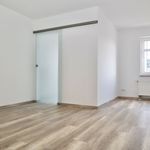 Rent 2 bedroom apartment of 59 m² in Chemnitz