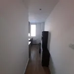 Rent 1 bedroom apartment in Brno