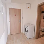 Rent 1 bedroom apartment of 33 m² in Prague