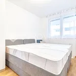 Najam 1 spavaće sobe stan od 55 m² u Zagreb