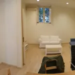 Rent 3 bedroom apartment of 90 m² in Roma