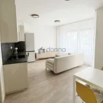 Pronajměte si 2 ložnic/e byt o rozloze 44 m² v Prague