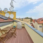 Rent 4 bedroom apartment of 160 m² in Capital City of Prague