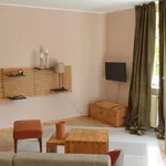 Rent 1 bedroom apartment of 50 m² in Mainz