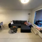 Rent 1 bedroom apartment in Dikkelvenne