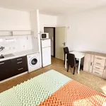 Rent 1 bedroom apartment of 25 m² in Třeboň