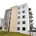 Rent 2 bedroom apartment of 49 m² in plzen