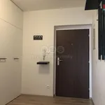 Rent 3 bedroom apartment of 71 m² in Hluboká nad Vltavou