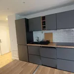 Rent 2 bedroom apartment of 50 m² in Villeurbanne