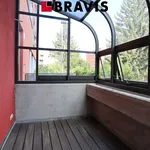 Rent 1 bedroom apartment of 45 m² in Brno