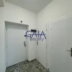 Rent 2 bedroom apartment of 38 m² in Trhový Štěpánov