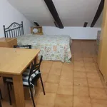 Rent 1 bedroom apartment of 30 m² in Turin