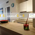 Rent 2 bedroom apartment of 60 m² in Roma