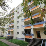 Rent 4 bedroom apartment of 65 m² in Halle (Saale)