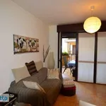 Rent 2 bedroom apartment of 48 m² in Milan