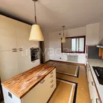 Rent 5 bedroom apartment of 170 m² in Alessandria