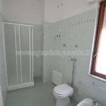 Rent 2 bedroom apartment of 50 m² in Mazara del Vallo