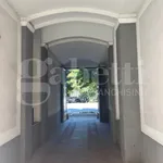 Rent 1 bedroom apartment of 31 m² in Milano