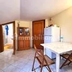 Rent 1 bedroom house of 34 m² in Rome