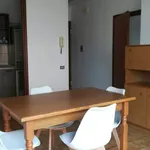 Rent 1 bedroom apartment of 38 m² in Trento