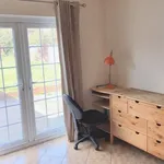 Rent 5 bedroom apartment in Worcester