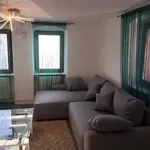 Miete 4 Schlafzimmer wohnung von 150 m² in Heidelberg