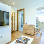 Rent 5 bedroom apartment of 50 m² in Madrid