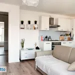 Affitto 1 camera casa di 37 m² in Milan