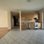 Rent 1 bedroom apartment of 100 m² in Székesfehérvár