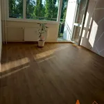 Rent 3 bedroom apartment of 80 m² in Chomutov