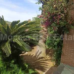 Rent 5 bedroom house of 320 m² in Caserta