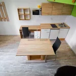 Rent 1 bedroom apartment of 20 m² in Brno