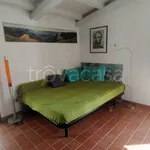 Rent 1 bedroom apartment of 30 m² in Catania