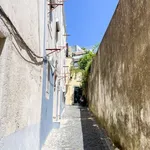 Rent 1 bedroom apartment in lisbon