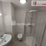 Rent 2 bedroom apartment of 57 m² in Plzeň