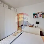 Rent 2 bedroom apartment of 58 m² in Torino